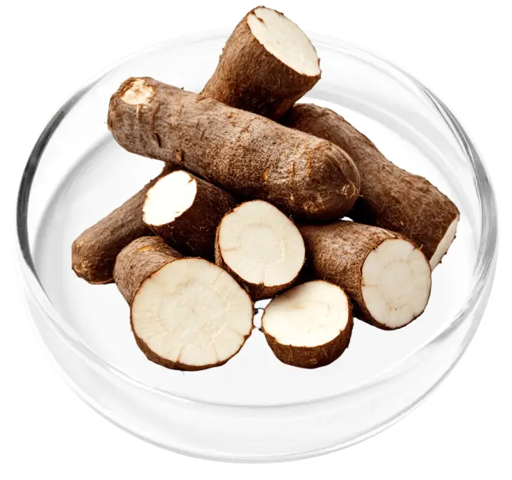 Probiotic blend