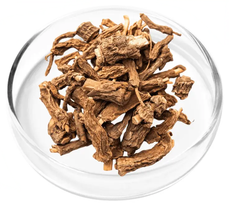 Prebiotic fiber
