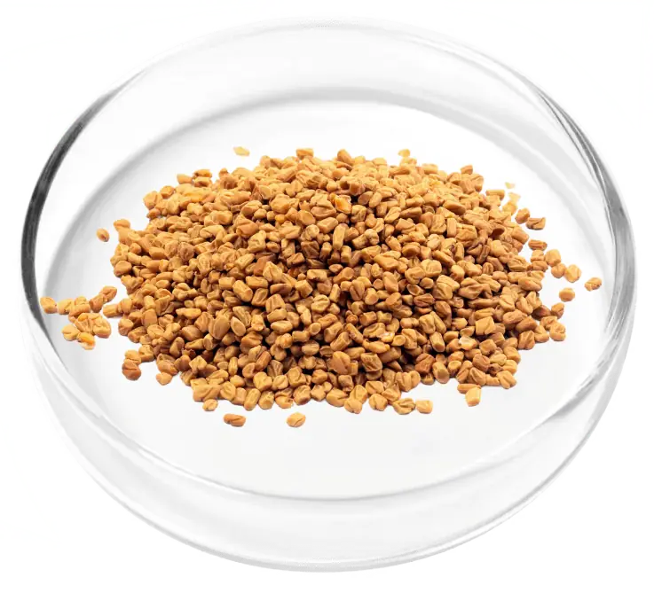 Digestive enzymes
