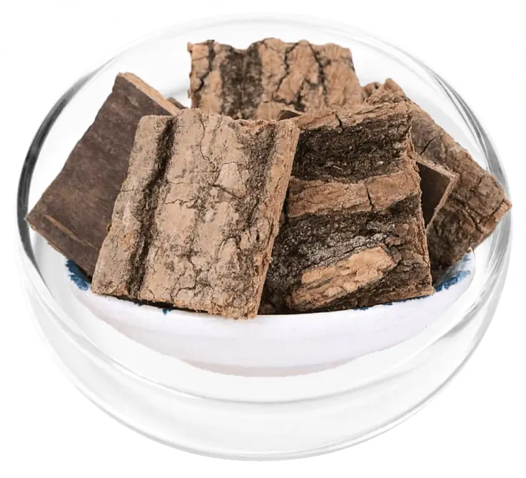 Ginger root