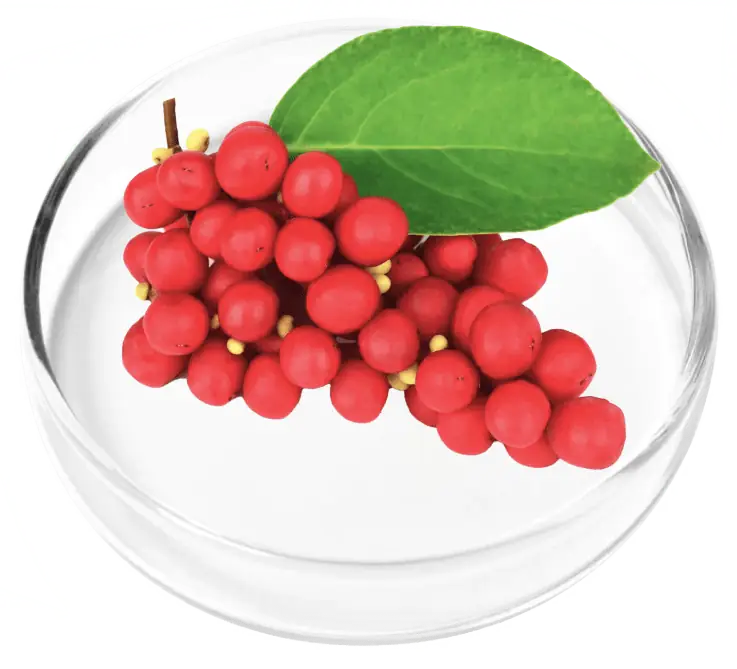 Slippery elm
